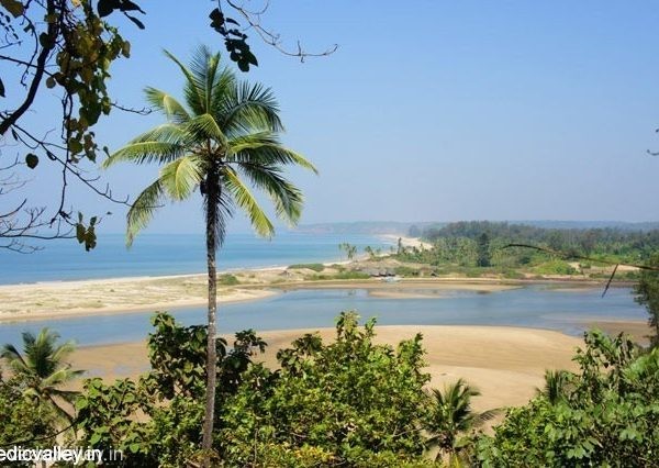 Beaches of Morjim, North Goa