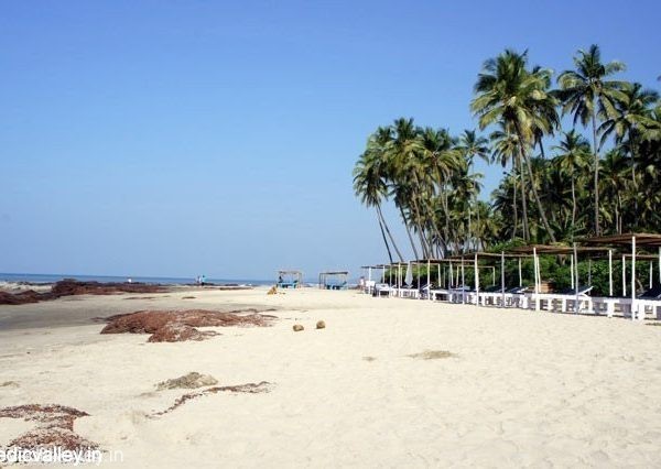 Beaches of Morjim, North Goa