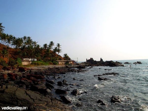 Beaches of Morjim, North Goa