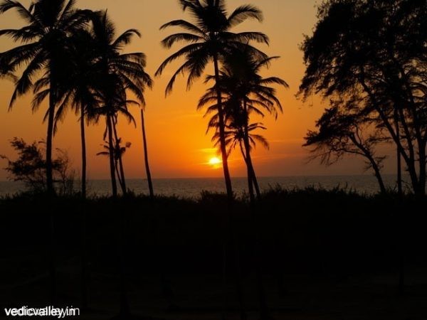 Beaches of Morjim, North Goa